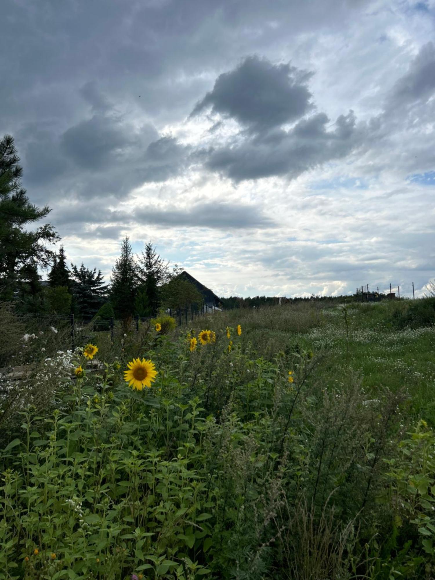 Koniec Swiata Nowa Stodola Appartement Mikołajki Buitenkant foto